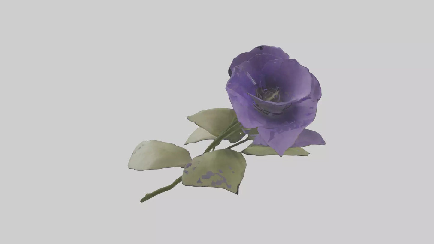 3D model Canterbury Bell model VR / AR / low-poly