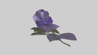3D model Canterbury Bell model VR / AR / low-poly