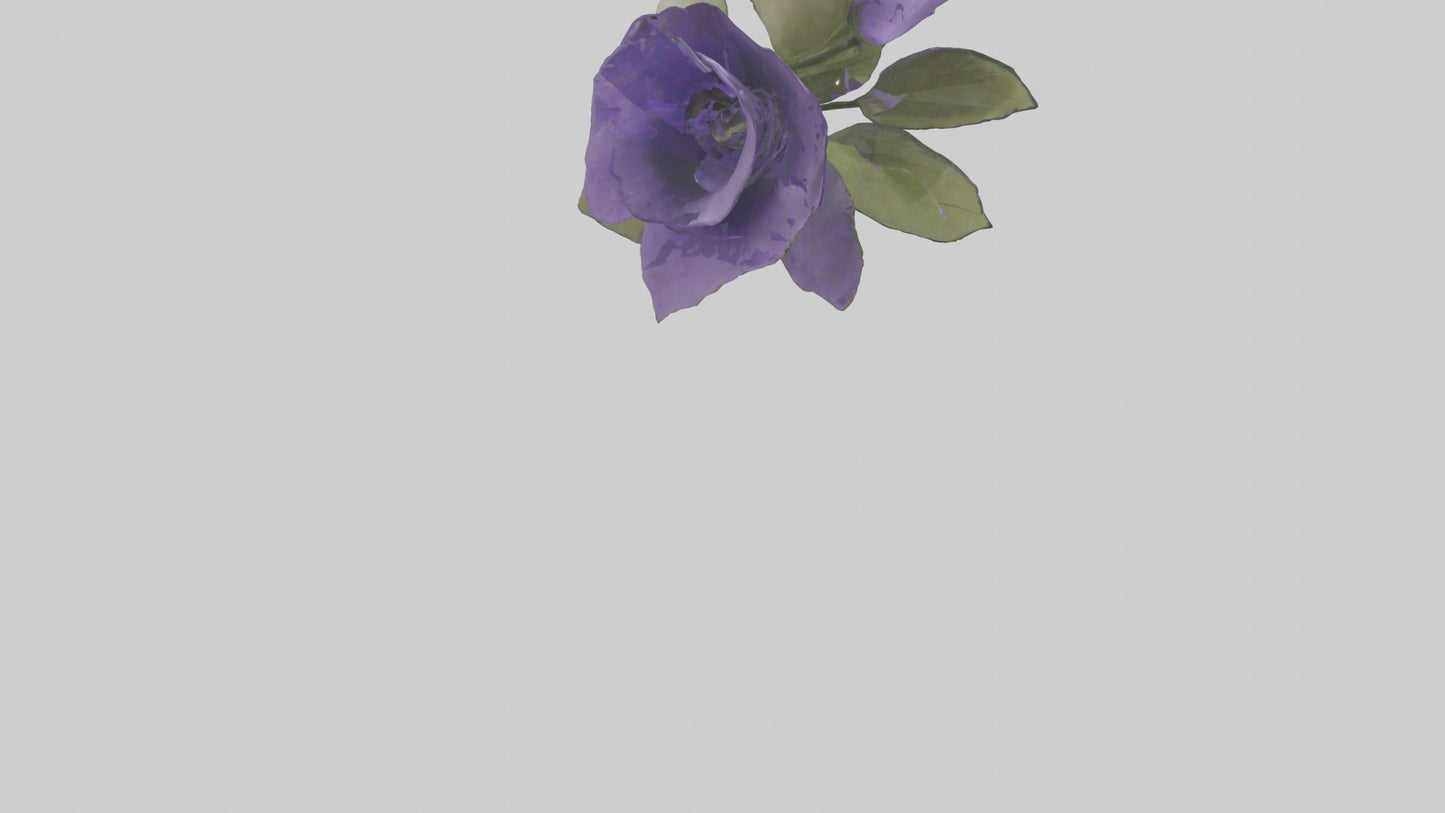 3D model Canterbury Bell model VR / AR / low-poly