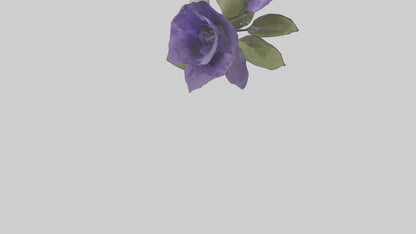 3D model Canterbury Bell model VR / AR / low-poly