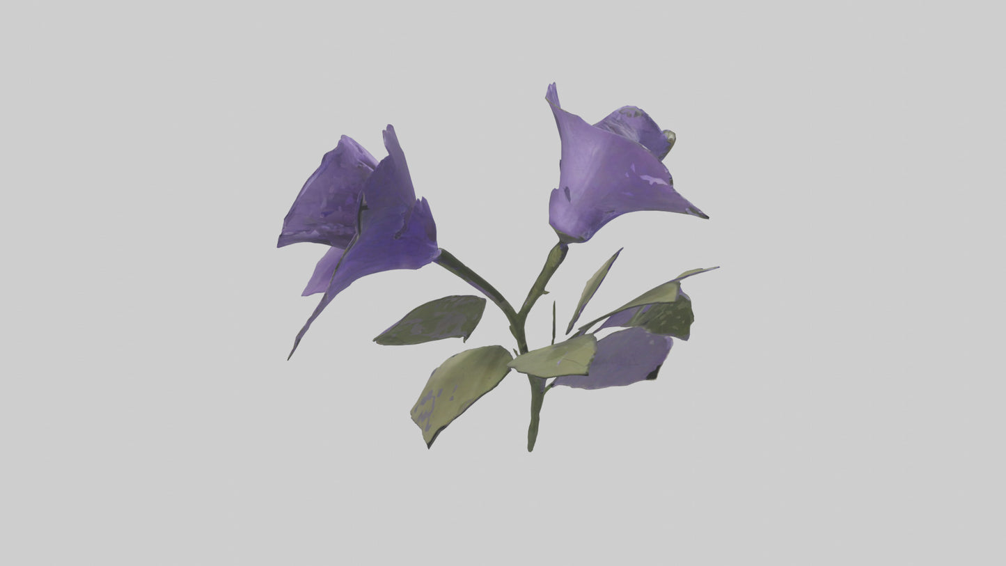 3D model Canterbury Bell model VR / AR / low-poly