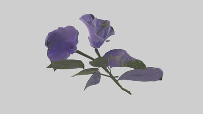 3D model Canterbury Bell model VR / AR / low-poly
