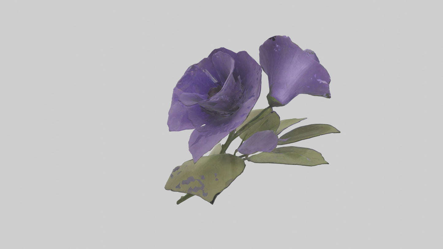 3D model Canterbury Bell model VR / AR / low-poly