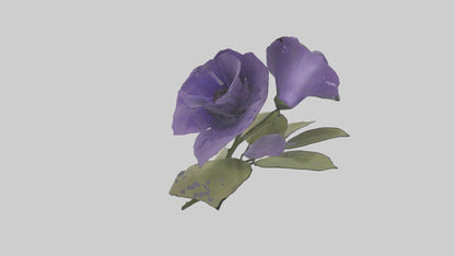 3D model Canterbury Bell model VR / AR / low-poly