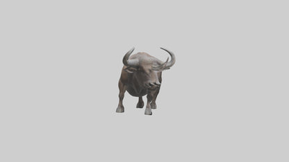 3D model Cape Buffalo charging model VR / AR / low-poly