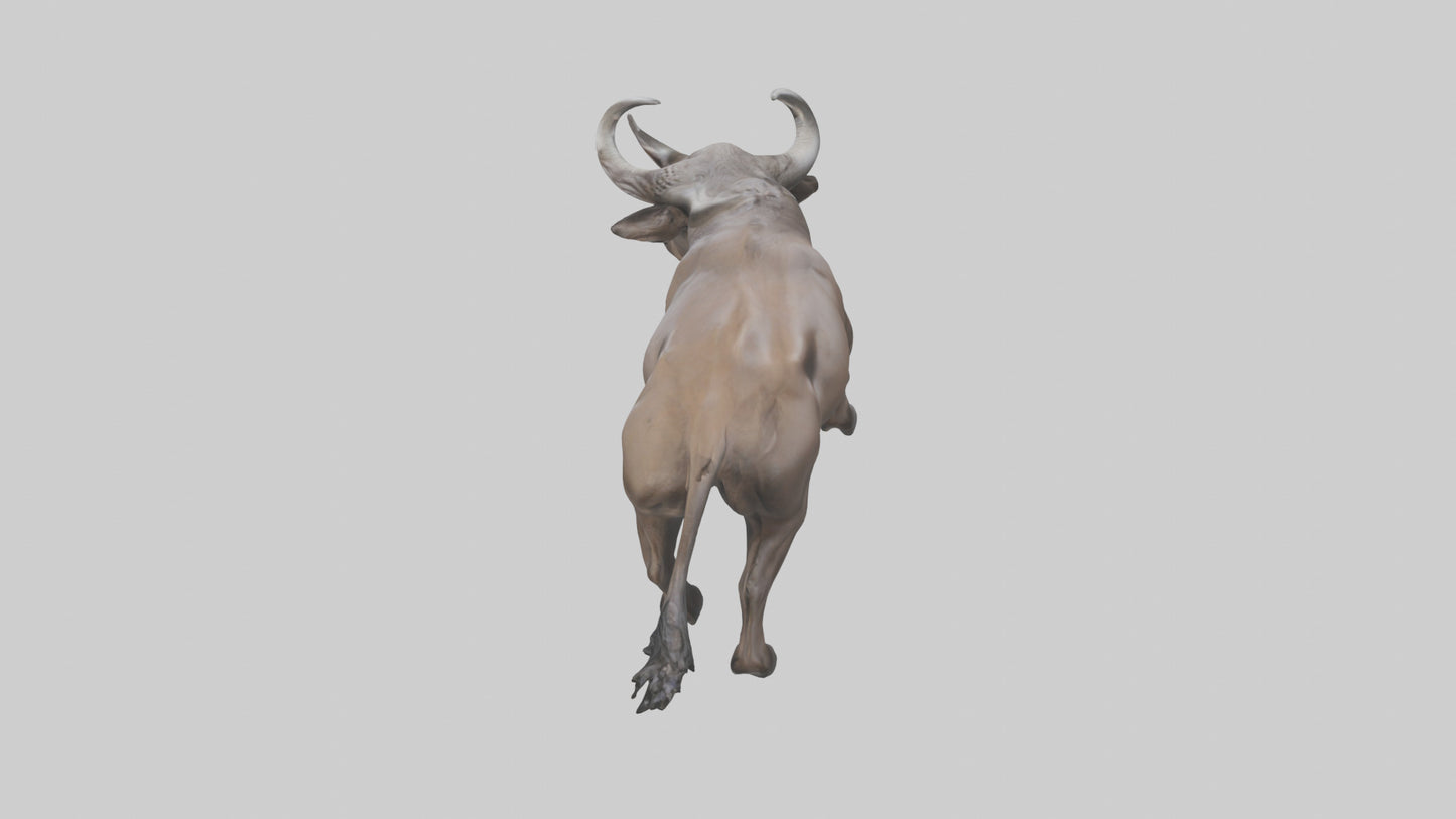 3D model Cape Buffalo charging model VR / AR / low-poly