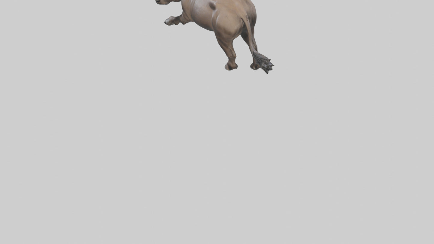 3D model Cape Buffalo charging model VR / AR / low-poly
