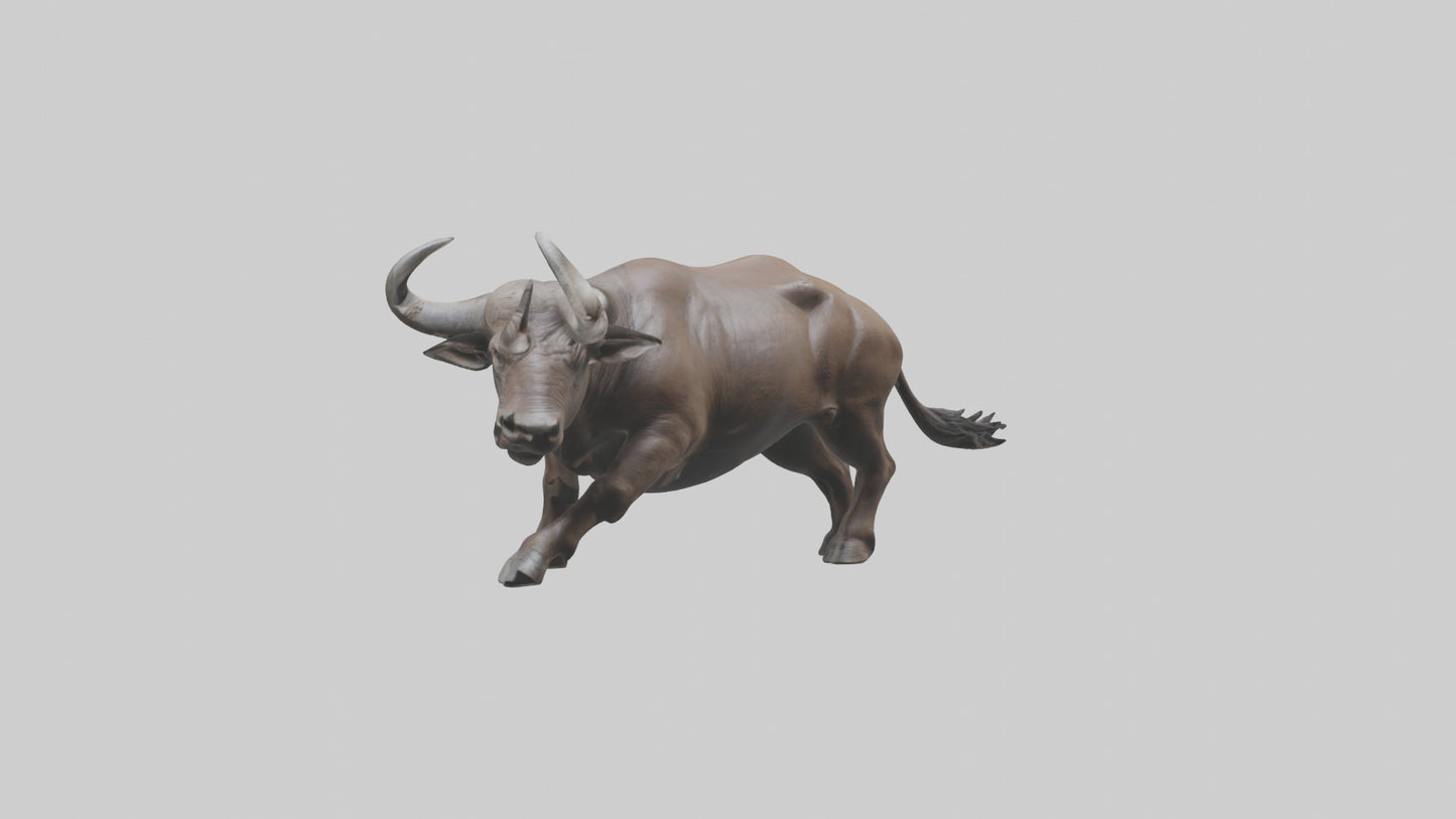 3D model Cape Buffalo charging model VR / AR / low-poly