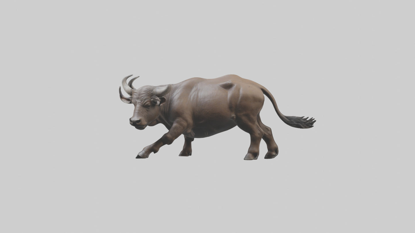 3D model Cape Buffalo charging model VR / AR / low-poly