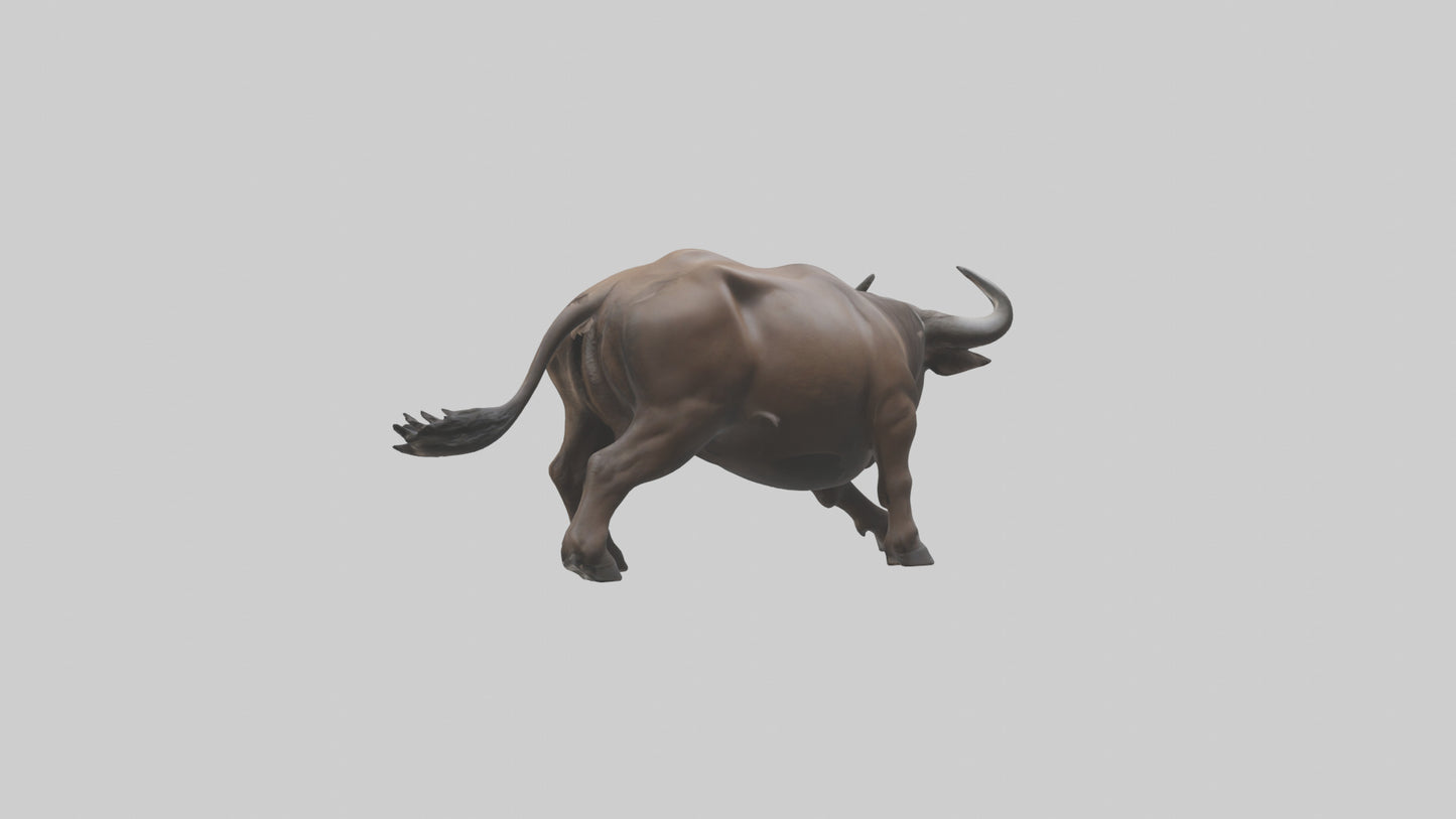 3D model Cape Buffalo charging model VR / AR / low-poly