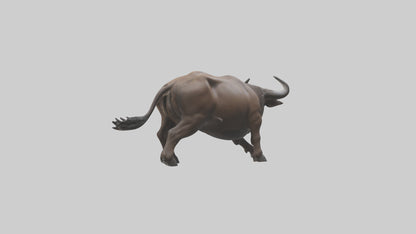 3D model Cape Buffalo charging model VR / AR / low-poly