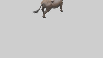 3D model Cape Buffalo charging model VR / AR / low-poly