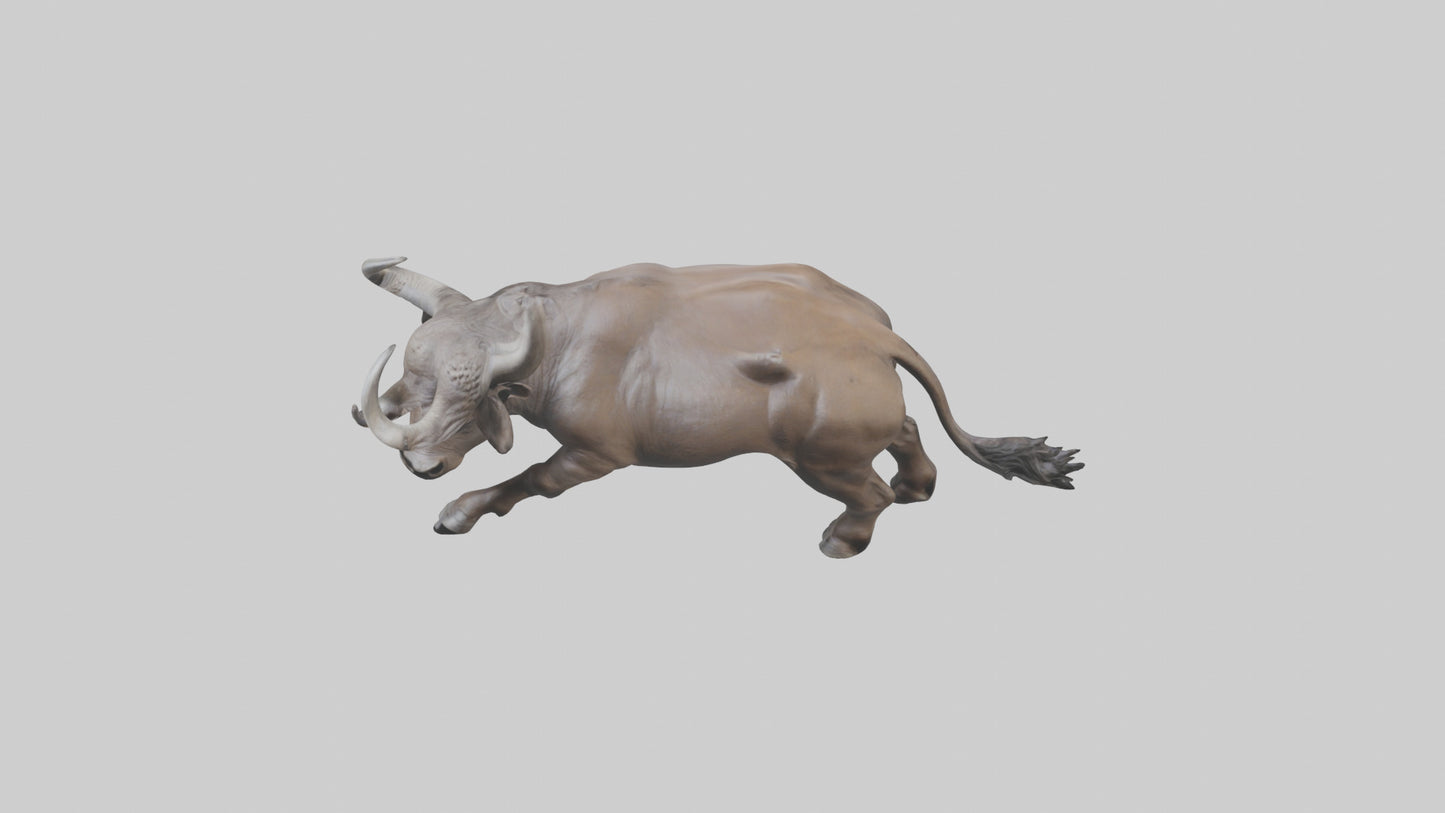 3D model Cape Buffalo charging model VR / AR / low-poly