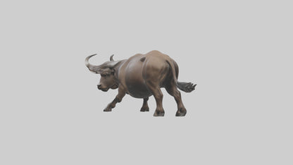 3D model Cape Buffalo charging model VR / AR / low-poly