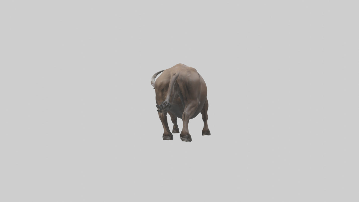 3D model Cape Buffalo charging model VR / AR / low-poly