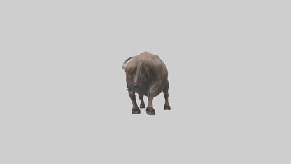 3D model Cape Buffalo charging model VR / AR / low-poly