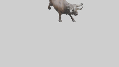 3D model Cape Buffalo charging model VR / AR / low-poly