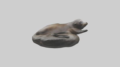 3D model Cape Fur Seal lounging model VR / AR / low-poly