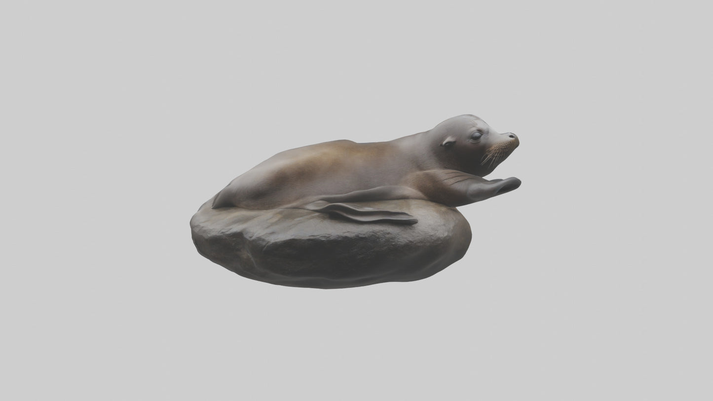 3D model Cape Fur Seal lounging model VR / AR / low-poly
