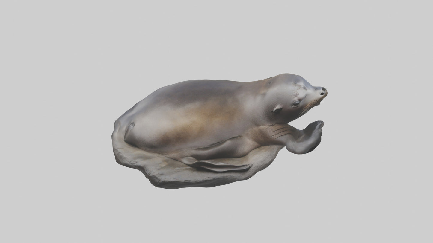 3D model Cape Fur Seal lounging model VR / AR / low-poly