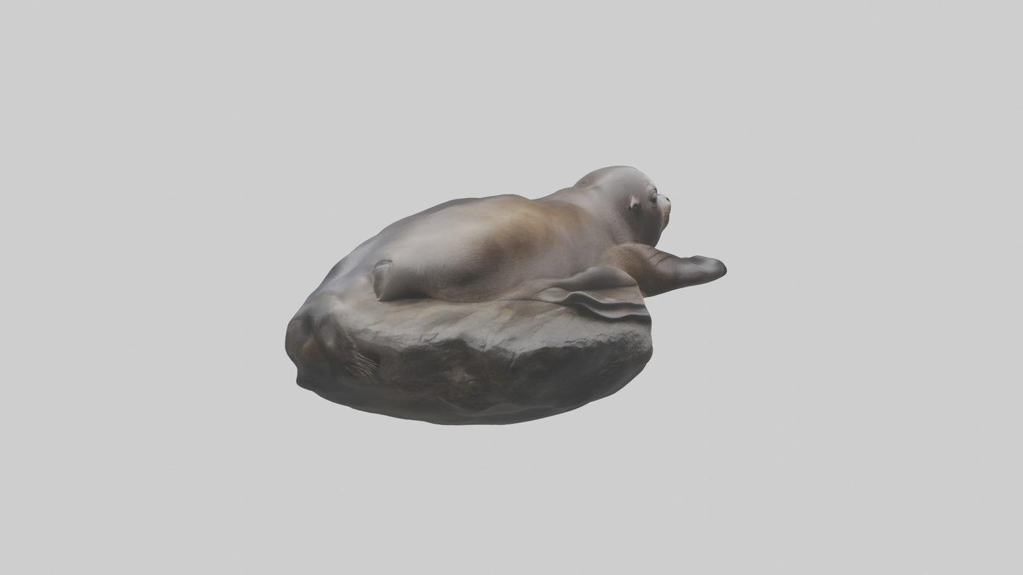 3D model Cape Fur Seal lounging model VR / AR / low-poly