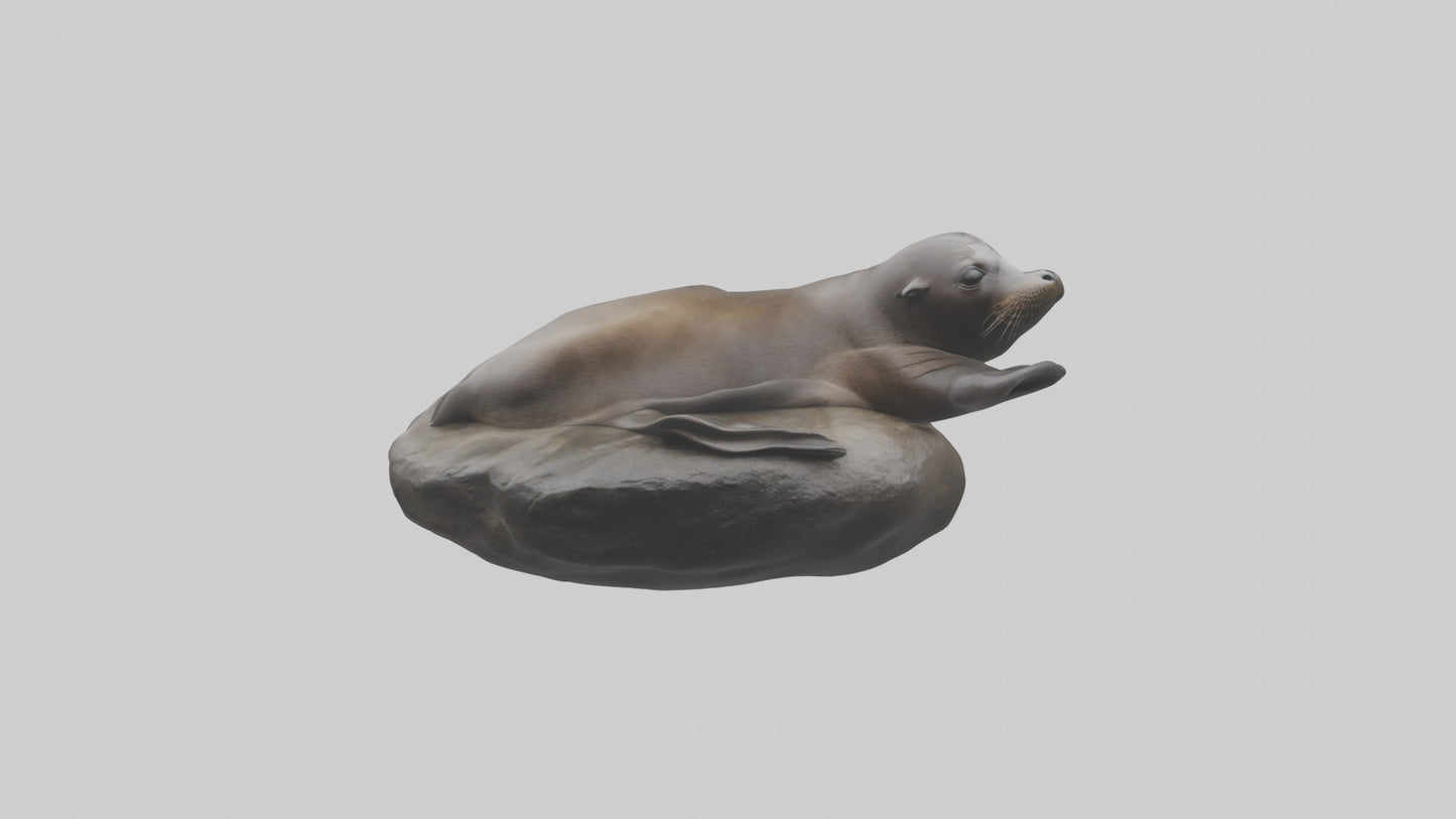 3D model Cape Fur Seal lounging model VR / AR / low-poly