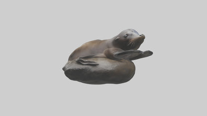 3D model Cape Fur Seal lounging model VR / AR / low-poly