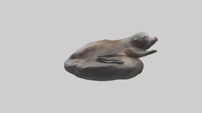 3D model Cape Fur Seal lounging model VR / AR / low-poly