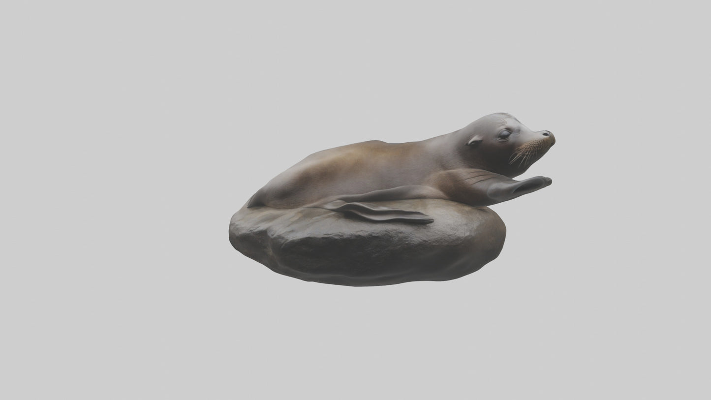 3D model Cape Fur Seal lounging model VR / AR / low-poly