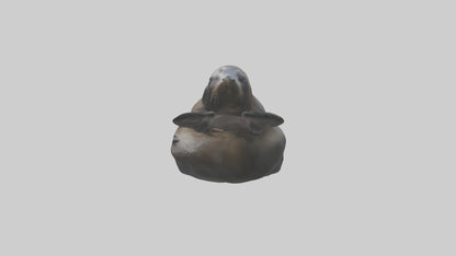 3D model Cape Fur Seal lounging model VR / AR / low-poly
