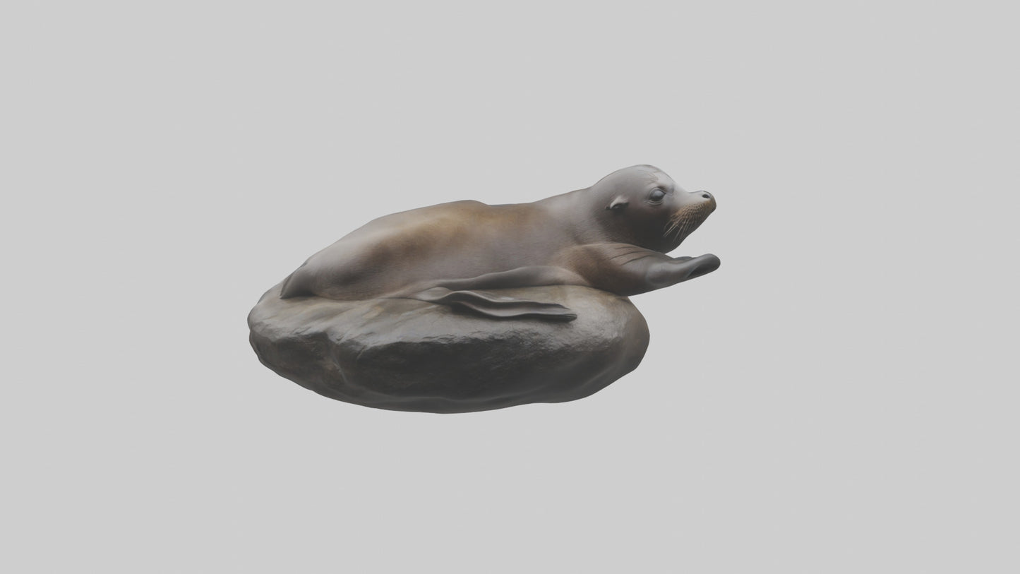 3D model Cape Fur Seal lounging model VR / AR / low-poly