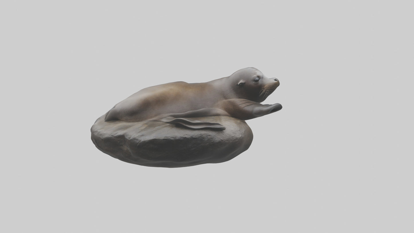 3D model Cape Fur Seal lounging model VR / AR / low-poly