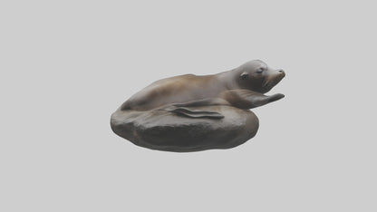 3D model Cape Fur Seal lounging model VR / AR / low-poly