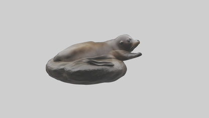 3D model Cape Fur Seal lounging model VR / AR / low-poly