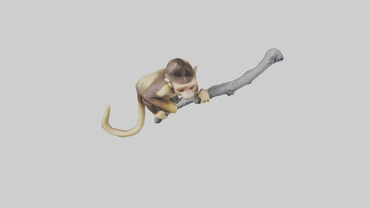3D model Capuchin Monkey climbing model VR / AR / low-poly