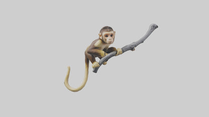 3D model Capuchin Monkey climbing model VR / AR / low-poly