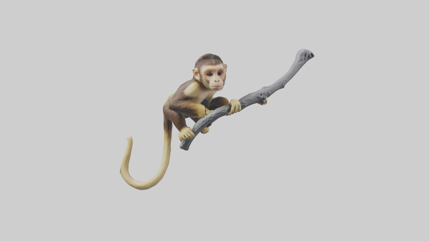 3D model Capuchin Monkey climbing model VR / AR / low-poly