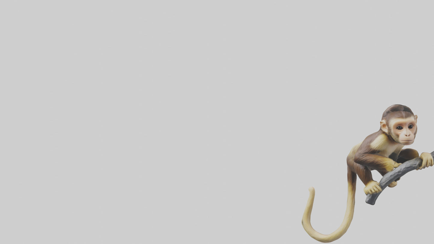 3D model Capuchin Monkey climbing model VR / AR / low-poly