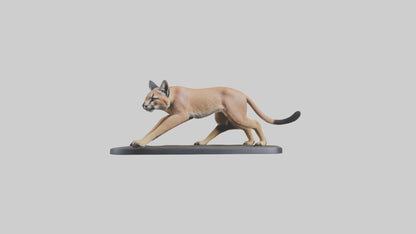 3D model Caracal hunting model VR / AR / low-poly