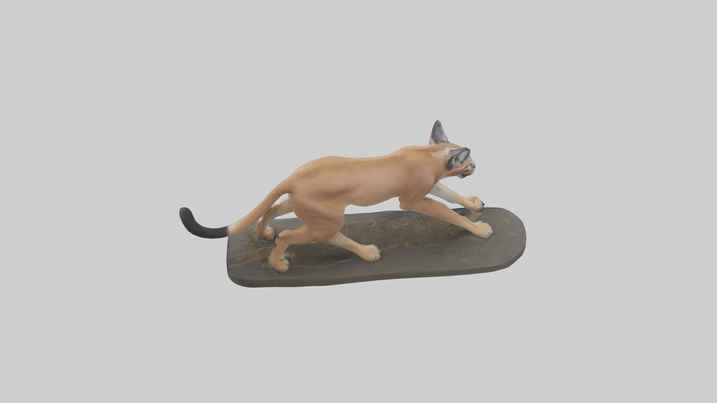 3D model Caracal hunting model VR / AR / low-poly