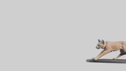 3D model Caracal hunting model VR / AR / low-poly