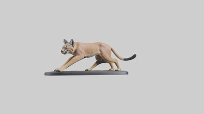 3D model Caracal hunting model VR / AR / low-poly