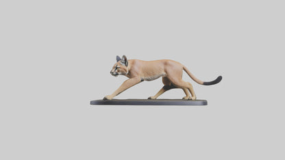3D model Caracal hunting model VR / AR / low-poly