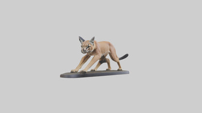 3D model Caracal hunting model VR / AR / low-poly