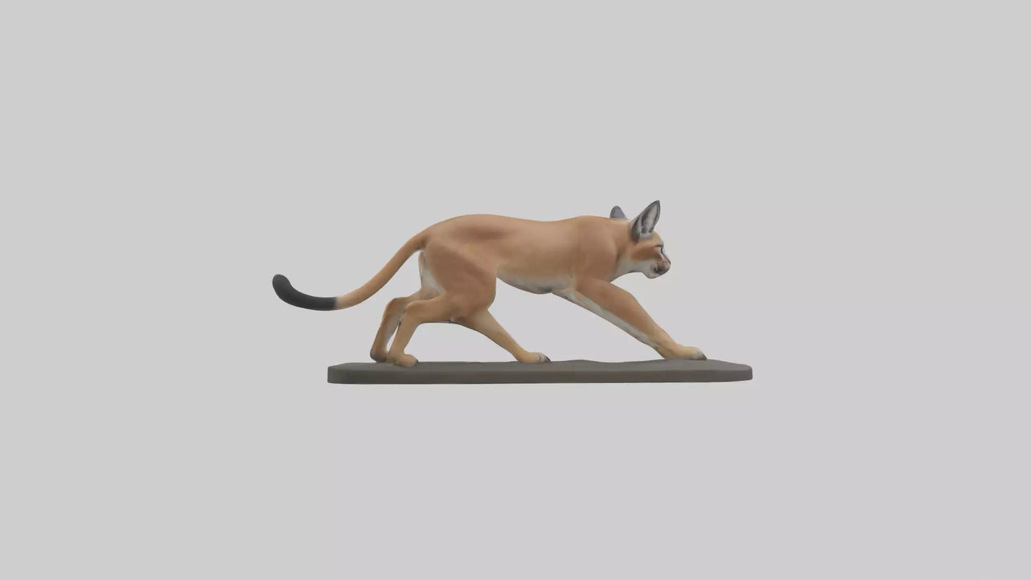 3D model Caracal hunting model VR / AR / low-poly