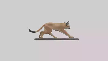 3D model Caracal hunting model VR / AR / low-poly