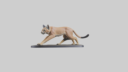 3D model Caracal hunting model VR / AR / low-poly