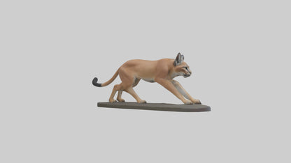 3D model Caracal hunting model VR / AR / low-poly