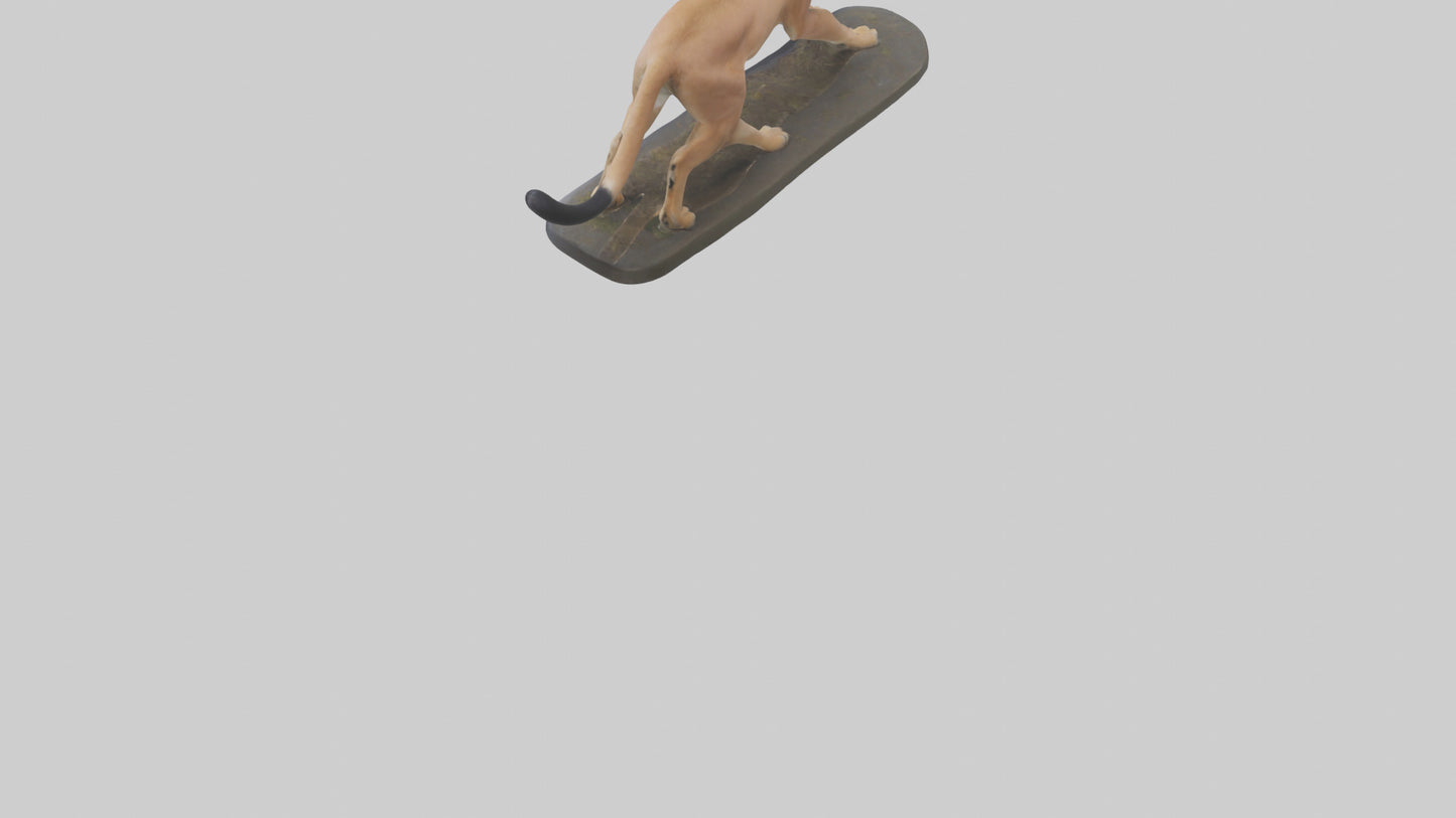 3D model Caracal hunting model VR / AR / low-poly