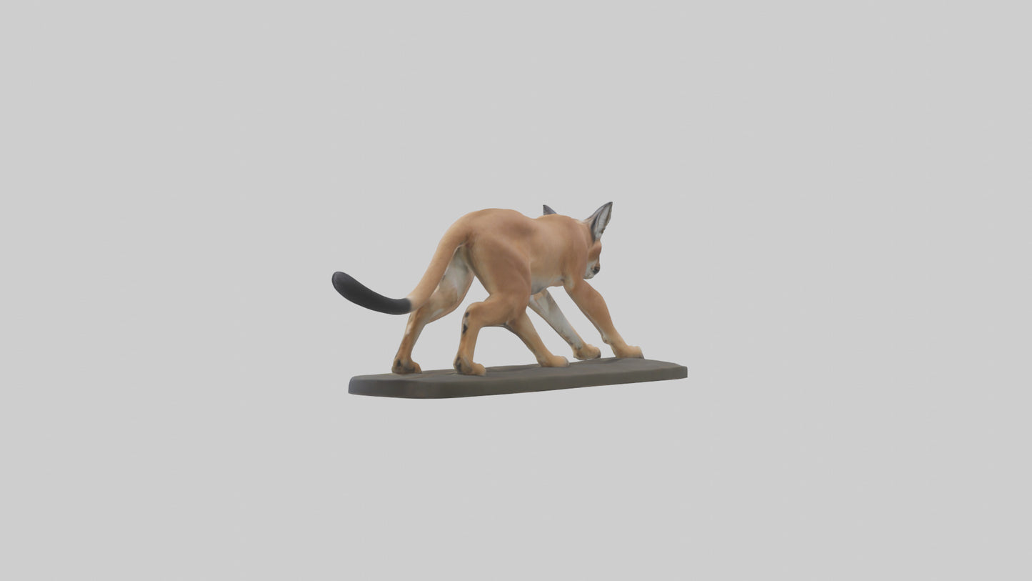 3D model Caracal hunting model VR / AR / low-poly
